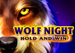 Wolf Night